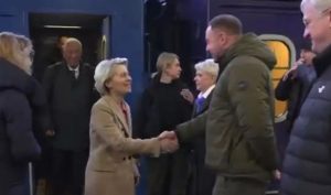 VON DER LAIEN
