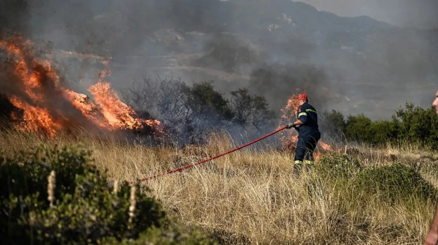 Παλαιά Φώκαια – Αγωνία για τον εθνικό δρυμό από τη μεγάλη φωτιά