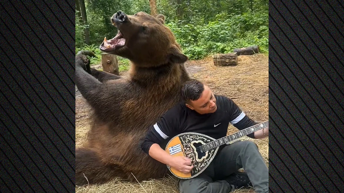Λαρισαίος παίζει μπουζούκι δίπλα σε αρκούδα
