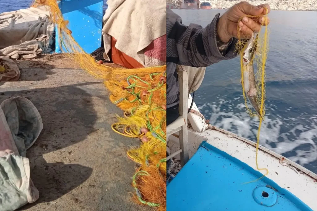 Σύρος: Ό,τι απέμεινε απο τις φώκιες και τα δελφίνια. Άλλη μια μέρα χωρίς μεροκάματο 