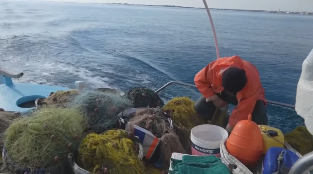 Ο σύγχρονος ψαράς καλείται να δραστηριοποιηθεί σε ένα περιβάλλον που έχει αλλάξει ριζικά και εις βάρος του